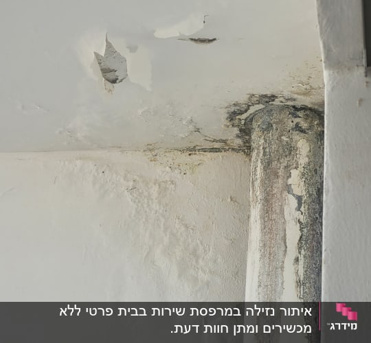 נזילה בתקרה עם קילופי צבע ועובש